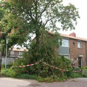 Tak van boom gewaaid Gouderegenstraat Noordwijk